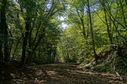 0_d8953_53c38d86_orig.png