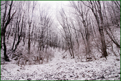 0_10629e_33c7a8e9_orig.png