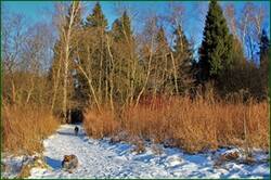 0_155694_30335c10_orig.jpg