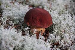 0_12c0d3_98477e0a_orig.jpg