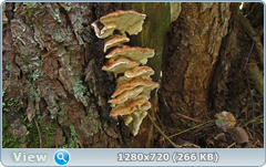 0_112306_aa293994_orig.png