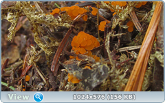0_126108_60c9380d_orig.png