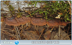 0_102072_fe343736_orig.png