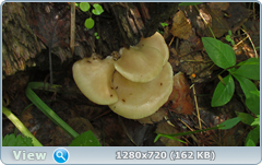 0_1096c6_575500ad_orig.png