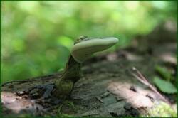 0_12877e_e7bca061_orig.jpg