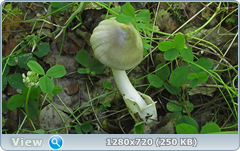 0_10b0f0_2ac67b50_orig.png