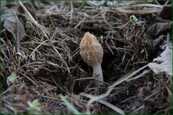 0_11f07e_834957e6_orig.jpg