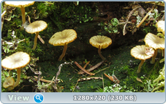 0_1068f8_6627fe3b_orig.png