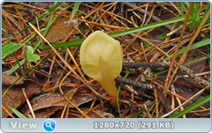 0_eab79_3ac845b4_orig.png