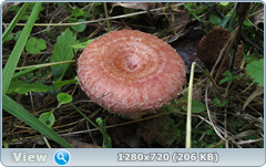 0_ef378_488fe4f_orig.png