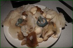 0_da057_256cfc51_orig.png