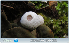 0_e6d1d_469622c2_orig.png