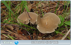 0_ea40f_2069b1a9_orig.png