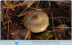 0_f3022_c43fe9d_orig.png
