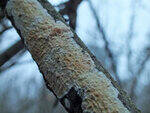 0_d3a4f_44d7061_S.jpg