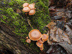 0_d3f52_159d4797_S.jpg