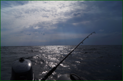 0_d9844_9a4c88e2_orig.png