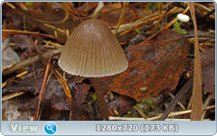 0_f27ce_efe0024_orig.png
