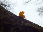 0_d39f2_f7662636_S.jpg