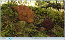 0_e351a_a48b4774_orig.png