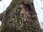 0_d39b7_5d3a1cb2_S.jpg