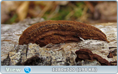 0_f565e_5a1131a1_orig.png