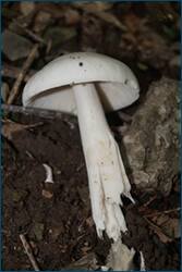 0_d094c_c239e49d_orig.jpg