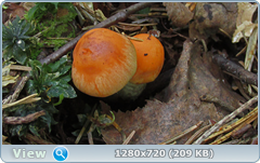 0_e9369_cf066fe4_orig.png
