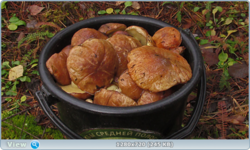 0_f2749_fe411cb1_orig.png