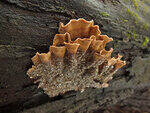 0_d3f35_51a8c519_S.jpg