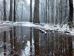 0_d0d8e_ce598165_S.jpg