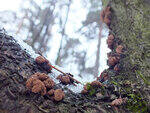 0_d1432_2bb7af01_S.jpg