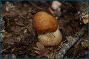 0_d2a00_a4780027_orig.jpg