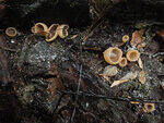 0_d0d6a_8985b552_S.jpg