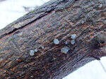 0_d3f80_2ac7e330_S.jpg