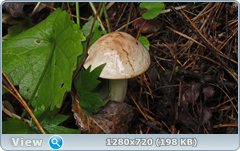 0_eacb8_66fbd95_orig.png