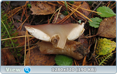 0_f276e_a279e60d_orig.png