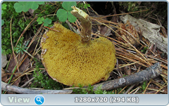 0_e934b_c0efa577_orig.png