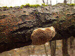 0_d3eb2_a8934ddd_S.jpg