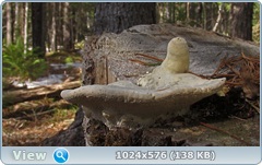 0_1375e1_63f74784_orig.png