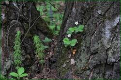 0_121805_16fc21c0_orig.jpg