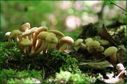 0_122bf8_6ef6f021_orig.jpg