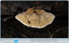 0_10380f_63c4baa6_orig.png