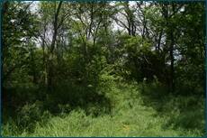0_ce103_f64e8dbd_orig.jpg