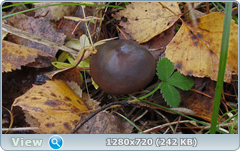 0_f2fa3_67c08cbc_orig.png