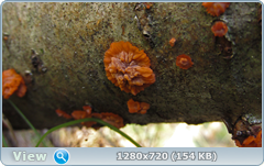 0_f309d_d77b0834_orig.png