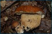 0_d2a16_51d543a3_orig.jpg