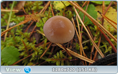0_f27c0_ef10312b_orig.png