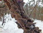 0_d3c52_aae26471_S.jpg