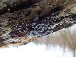 0_d3dc9_62237589_S.jpg